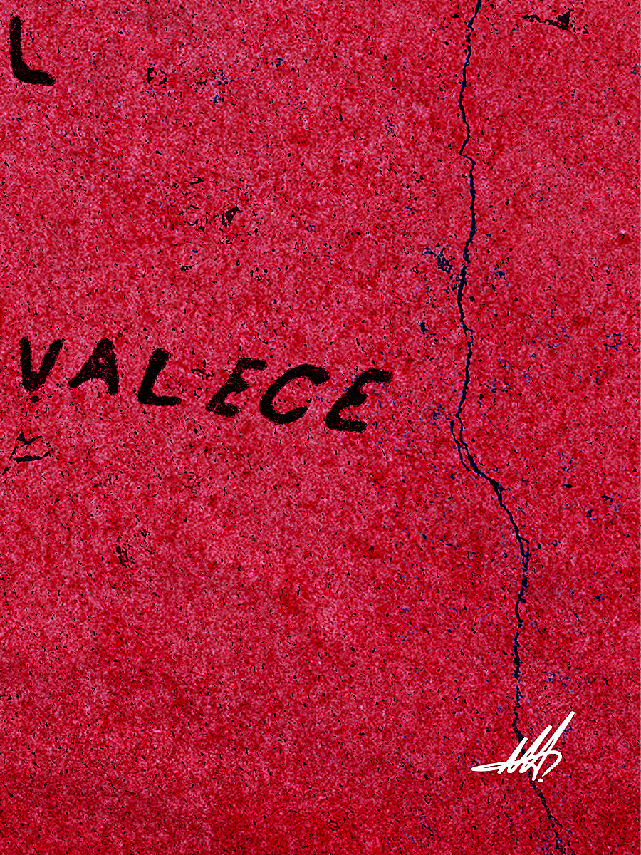Venezuela Prevalece — Giclée Poster Print