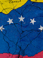 Venezuela Prevalece — Giclée Poster Print