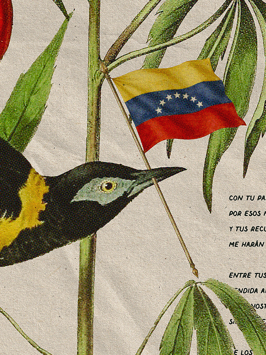 Venezuela Turpial — Giclee Poster Print